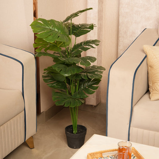 Architectural Floor Plant with Sturdy Base