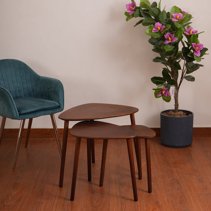 Modern Organic Shaped Nesting Table